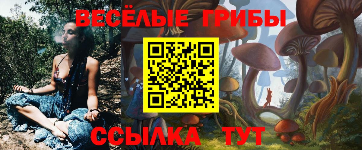 Улан-Удэ  Псилоцибиновые грибы Cubensis  Вход с VPN 