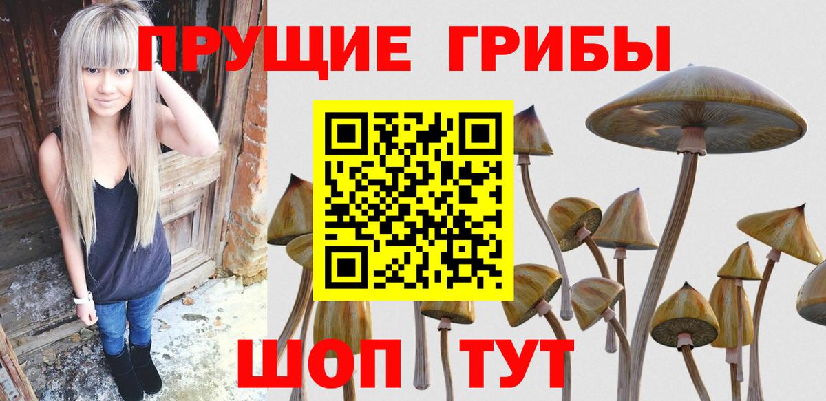 Галлюциногенные грибы MAGIC MUSHROOMS Улан-Удэ